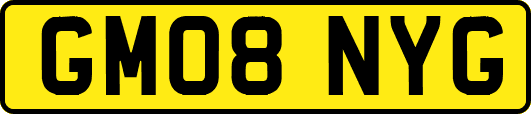 GM08NYG