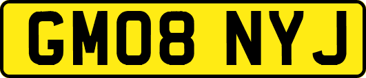 GM08NYJ
