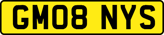 GM08NYS