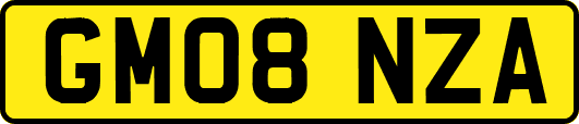 GM08NZA