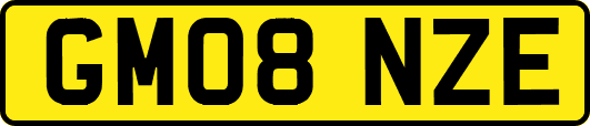GM08NZE