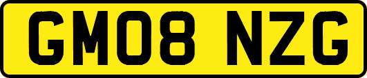 GM08NZG
