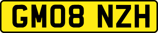 GM08NZH