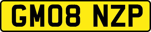 GM08NZP