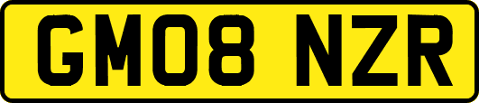 GM08NZR
