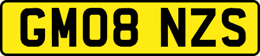 GM08NZS