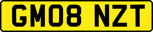 GM08NZT