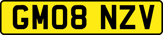 GM08NZV