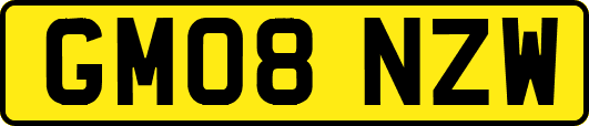 GM08NZW