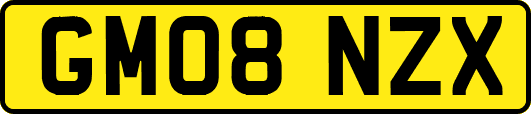 GM08NZX
