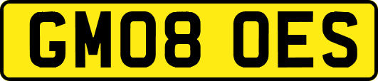 GM08OES