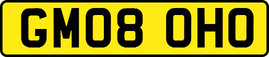 GM08OHO