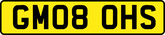 GM08OHS