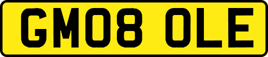 GM08OLE