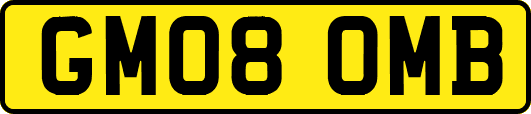 GM08OMB