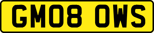 GM08OWS