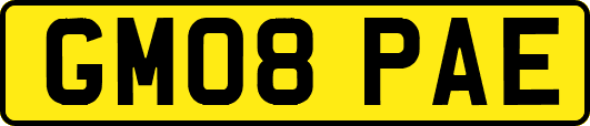 GM08PAE