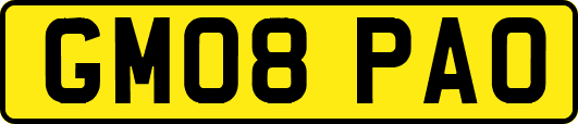 GM08PAO