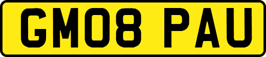 GM08PAU