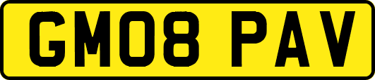 GM08PAV