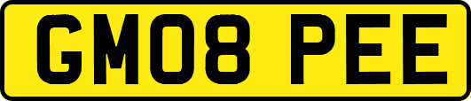 GM08PEE