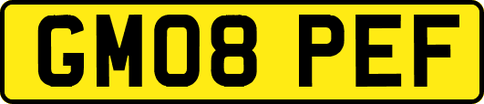 GM08PEF