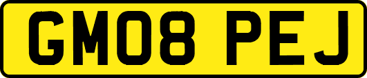 GM08PEJ