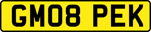 GM08PEK