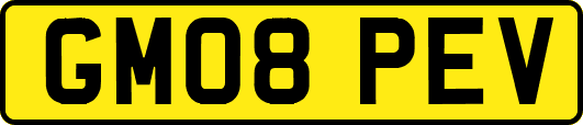 GM08PEV