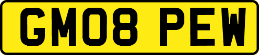 GM08PEW