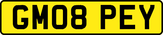 GM08PEY