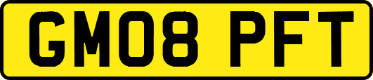 GM08PFT