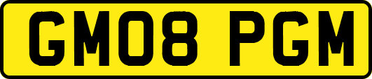 GM08PGM
