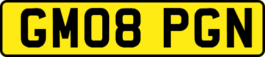 GM08PGN