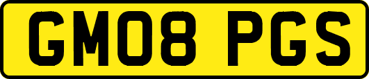 GM08PGS