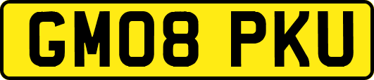 GM08PKU