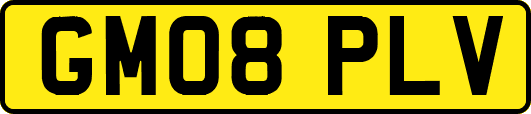 GM08PLV