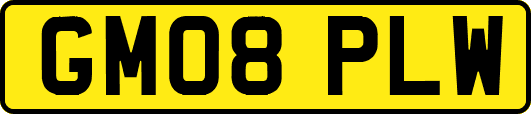GM08PLW