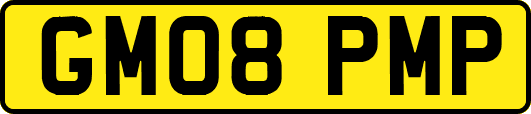 GM08PMP