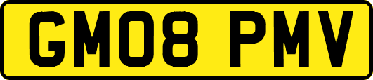 GM08PMV