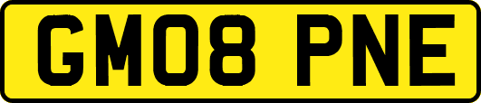 GM08PNE
