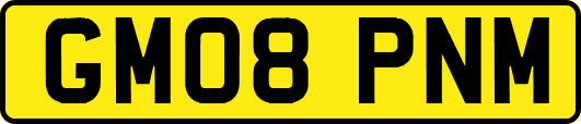 GM08PNM
