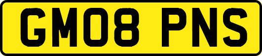 GM08PNS