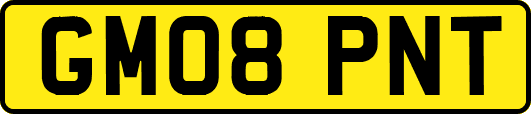 GM08PNT