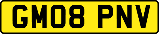 GM08PNV