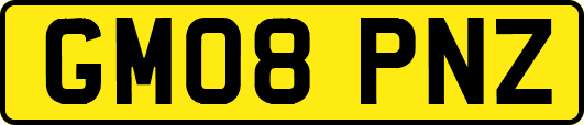 GM08PNZ