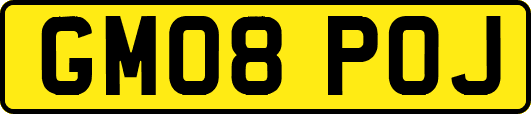 GM08POJ