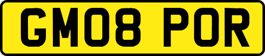 GM08POR
