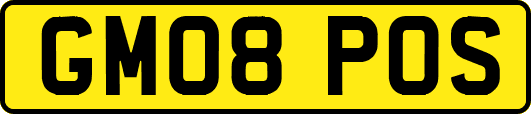 GM08POS