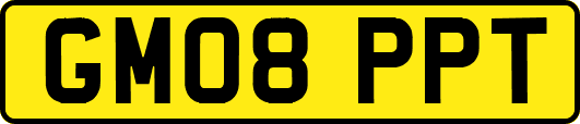 GM08PPT